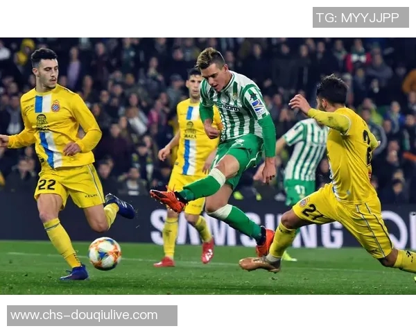 足球动画直播带你领略精彩赛事瞬间与球员风采的完美结合